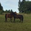 Jenni290618045 bee2a8cf 1920w